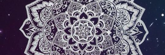 MichelleLula's profile banner image