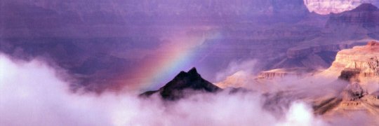 BebesseFoi's profile banner image