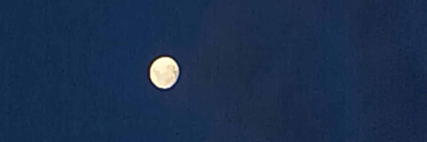 meatyuds's profile banner image