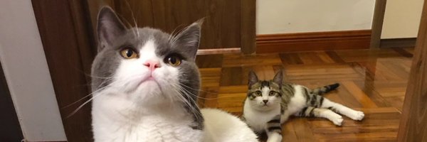 QiuOmg Profile Banner