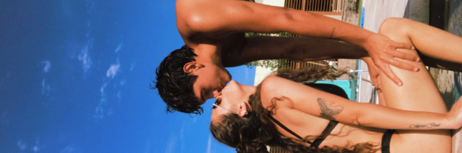 virzandarin's profile banner image