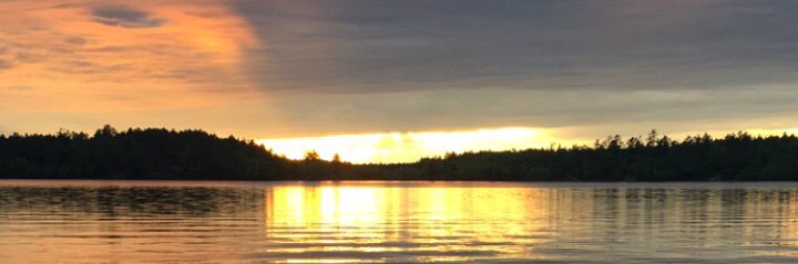 Ryan banner