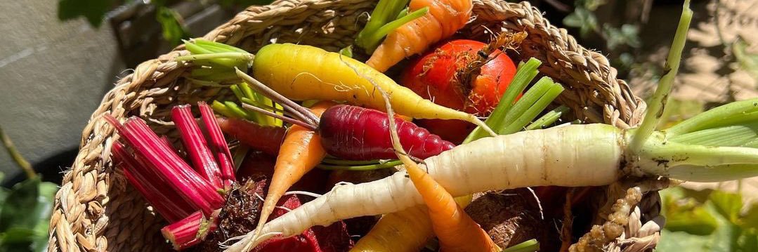 Vegepod banner