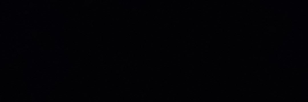 gulo banner