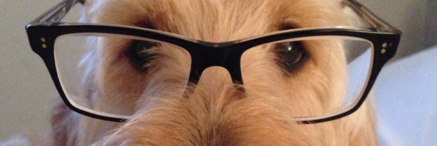ashhmett's profile banner image