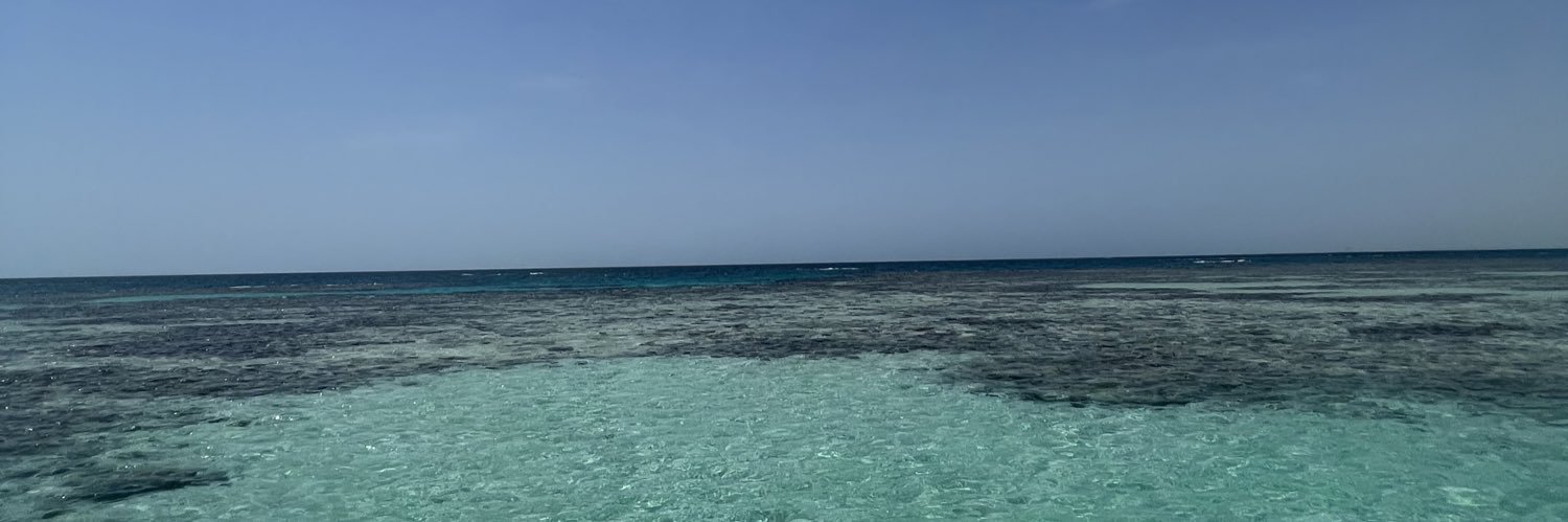 ahenaidy1's profile banner image