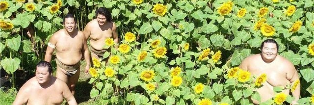 PaulBadache's profile banner image