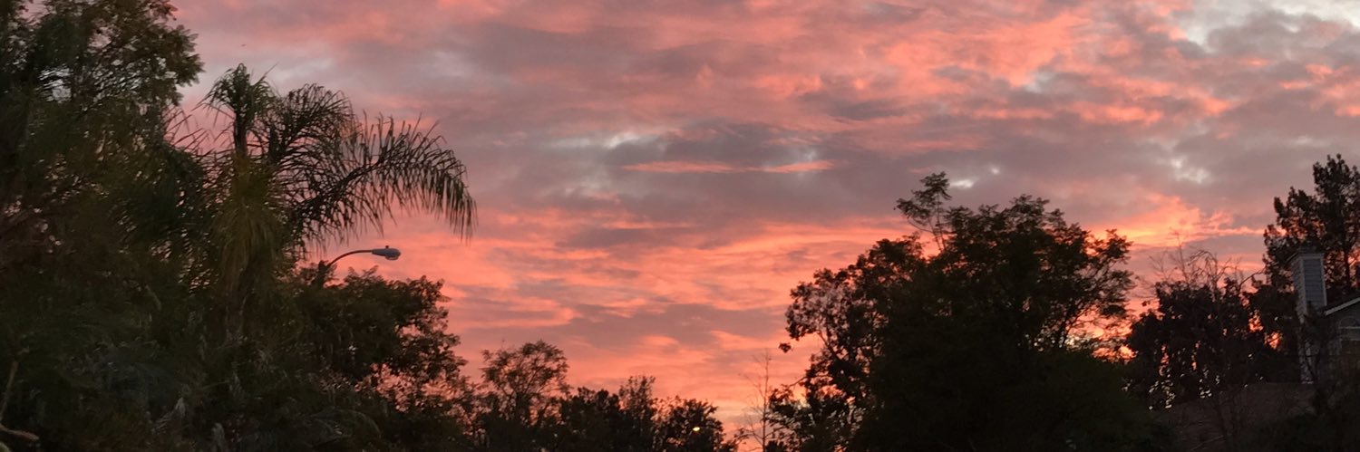 lizd805's profile banner image