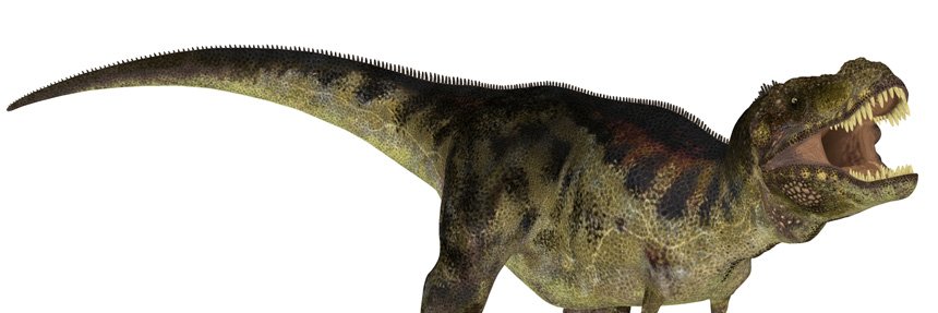 FactsDino's profile banner image