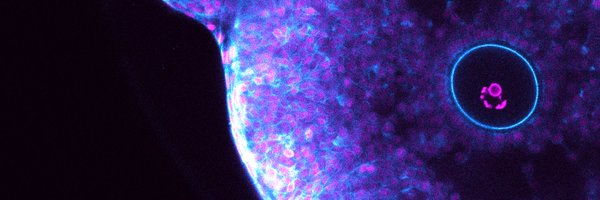 LastChrisThomas Profile Banner