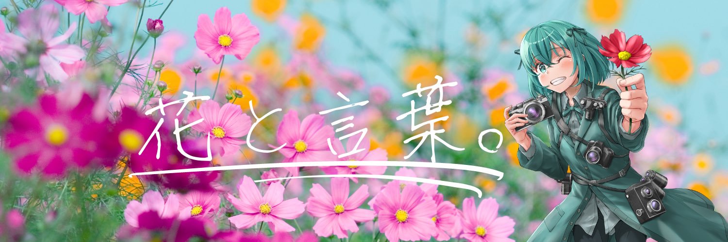 noco｜花の写真家's banner