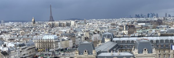 marcelahuet Profile Banner