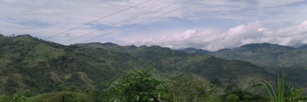 edwinlara's profile banner image