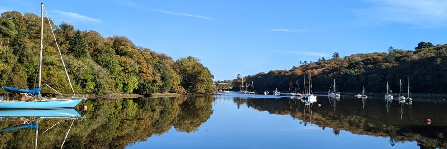 Shane Carroll banner