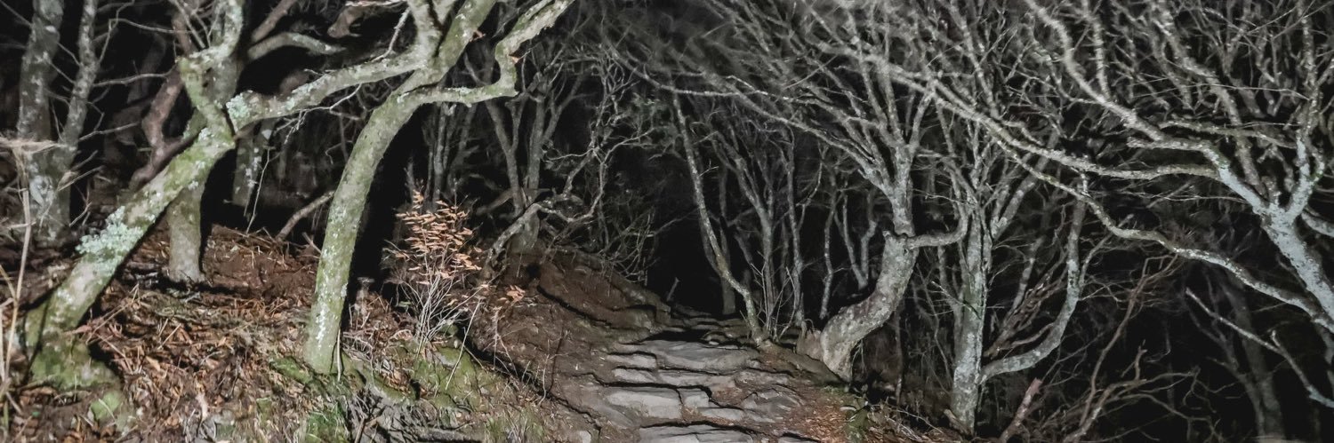 garbagebrainss's profile banner image
