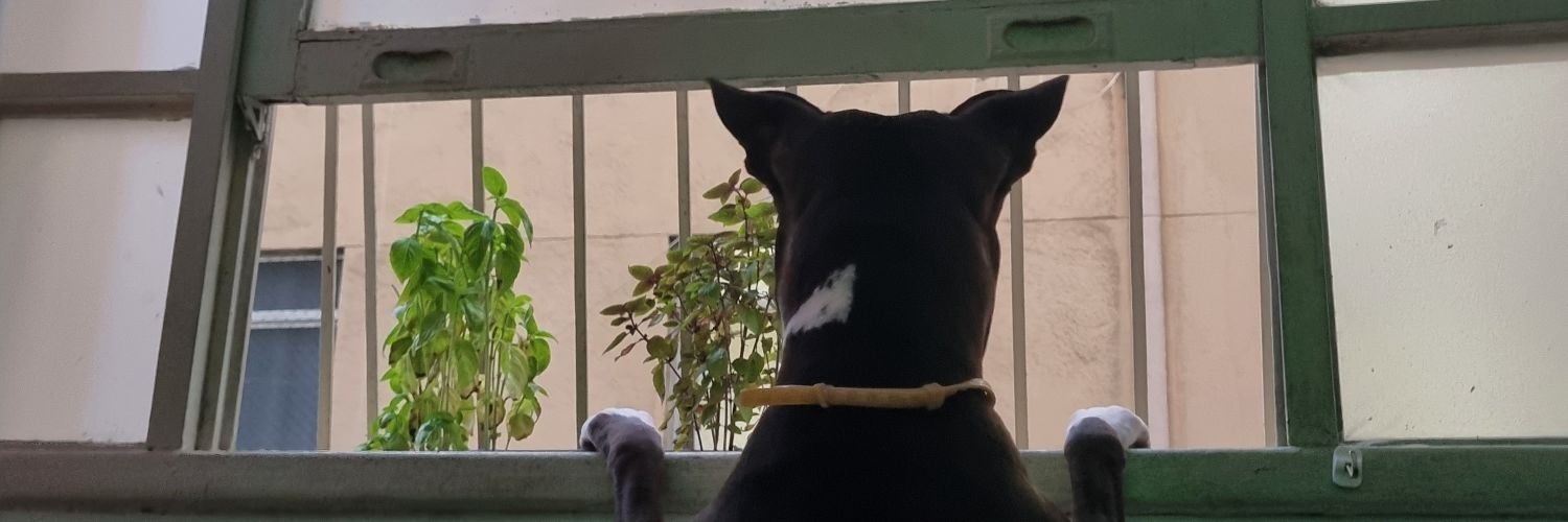 bifbrasil's profile banner image