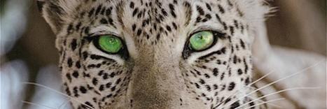 bfranke's profile banner image