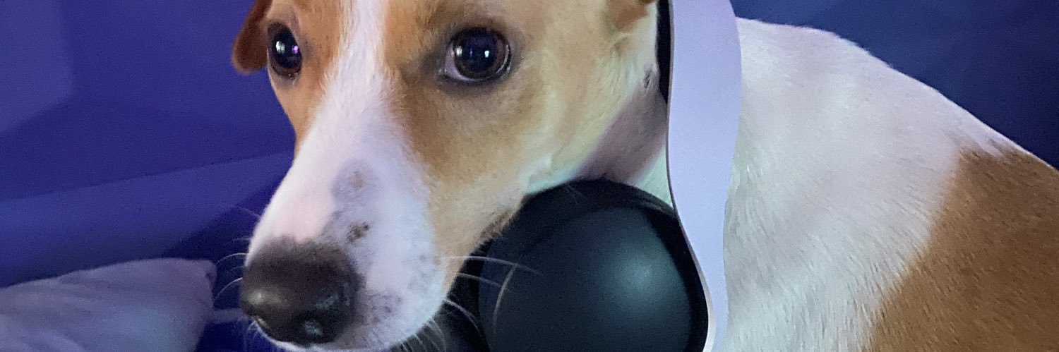 caiodavidl's profile banner image