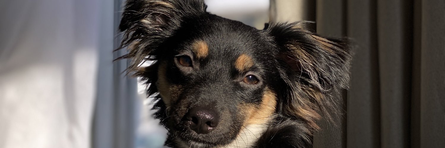 J.W. Heaumeaux banner