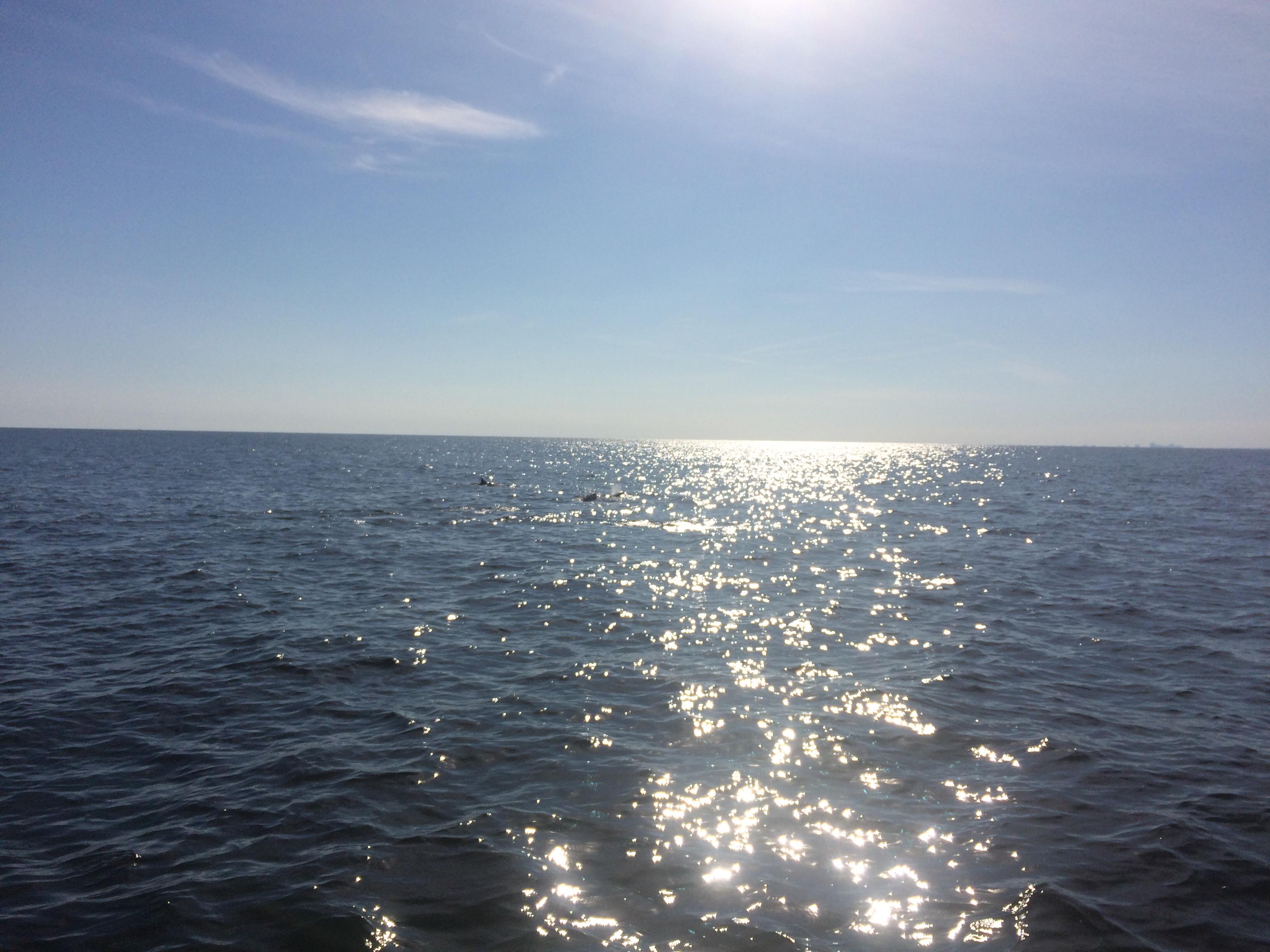 Iasgair 🧜‍♂️ banner