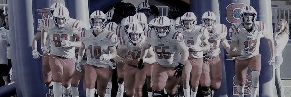 Leander Lions FB's banner