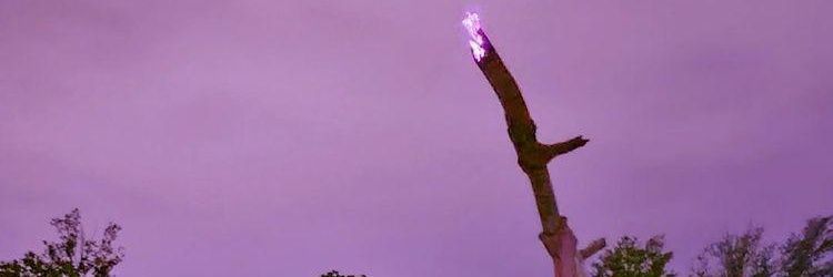 ThisIsNot_Scott's profile banner image
