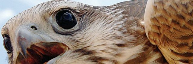 Bayars2020's profile banner image