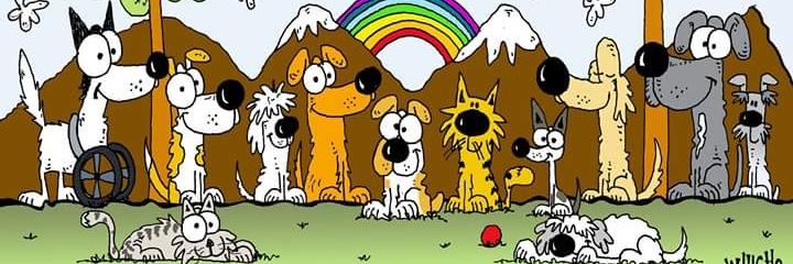 allysmeli's profile banner image