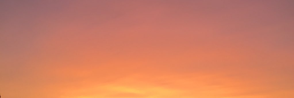 Sedat Ekici banner