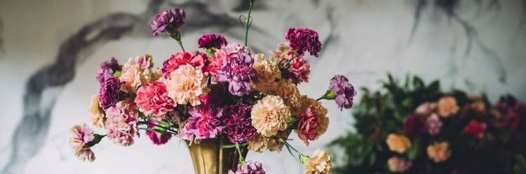 barb257's profile banner image