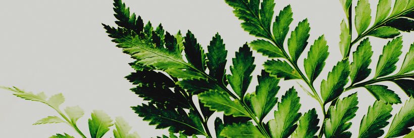 alkattt's profile banner image