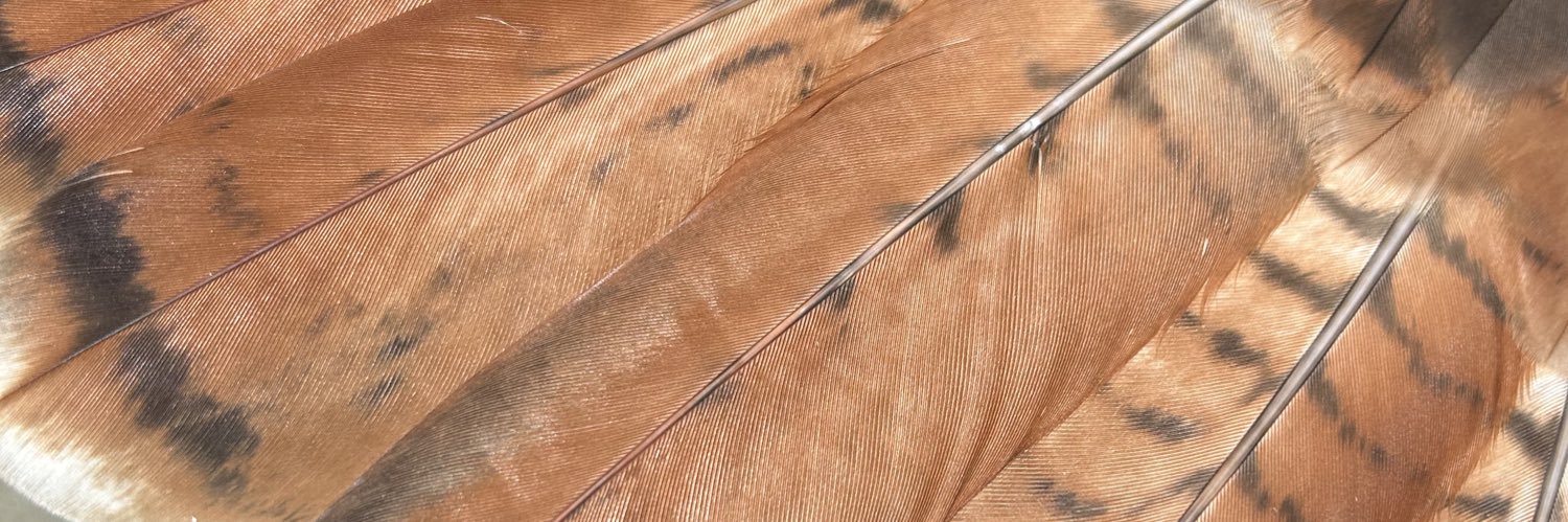 Inkasaur 🇵🇭 banner