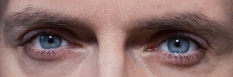 Деловая древесина banner