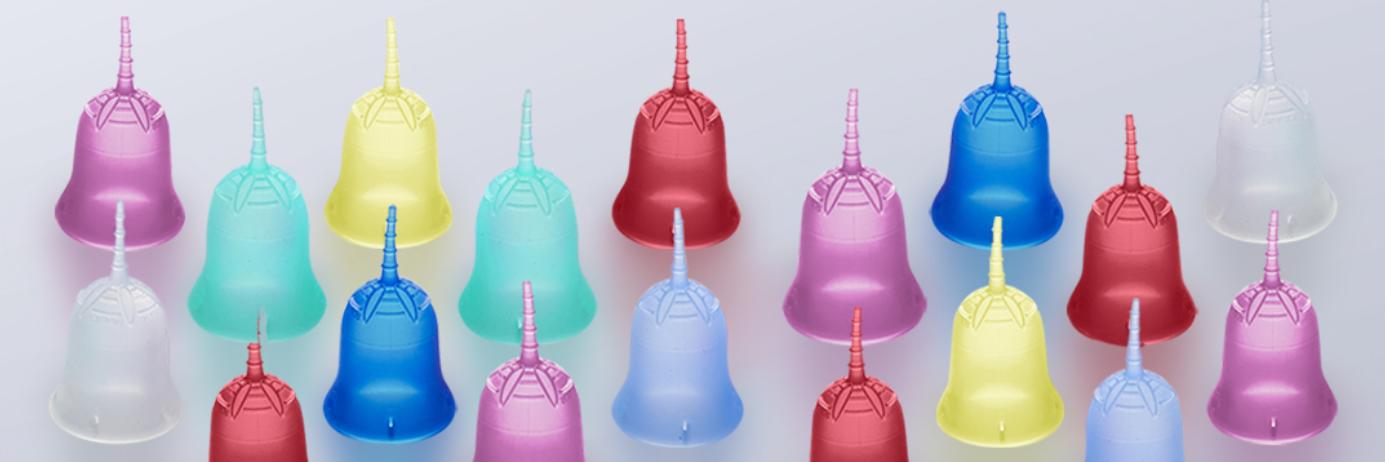 SckoonCup's profile banner image