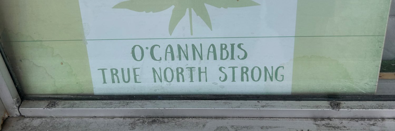 Mitch 🇨🇦's banner