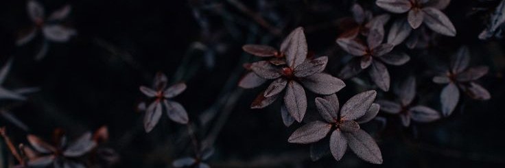 dn_4rtha's profile banner image