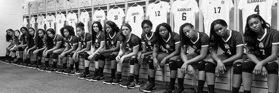 Alabama A&M Volleyball banner