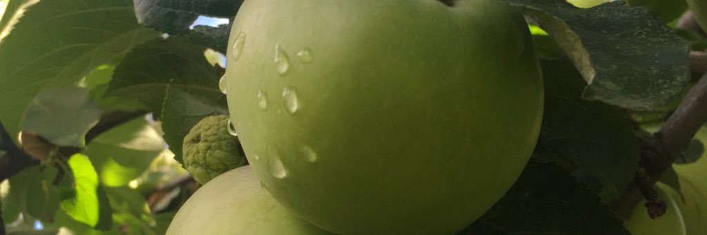 LinkMehairi's profile banner image
