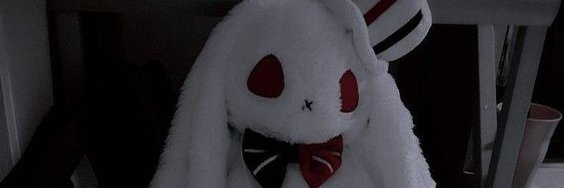 Adam ᓚᘏᗢ banner