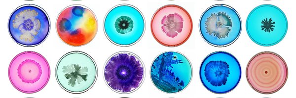 MicrobiomeUcr Profile Banner