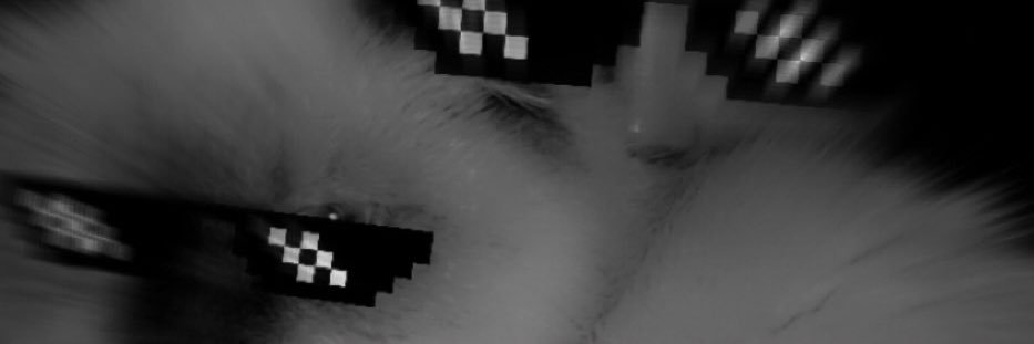 tomma_miss's profile banner image