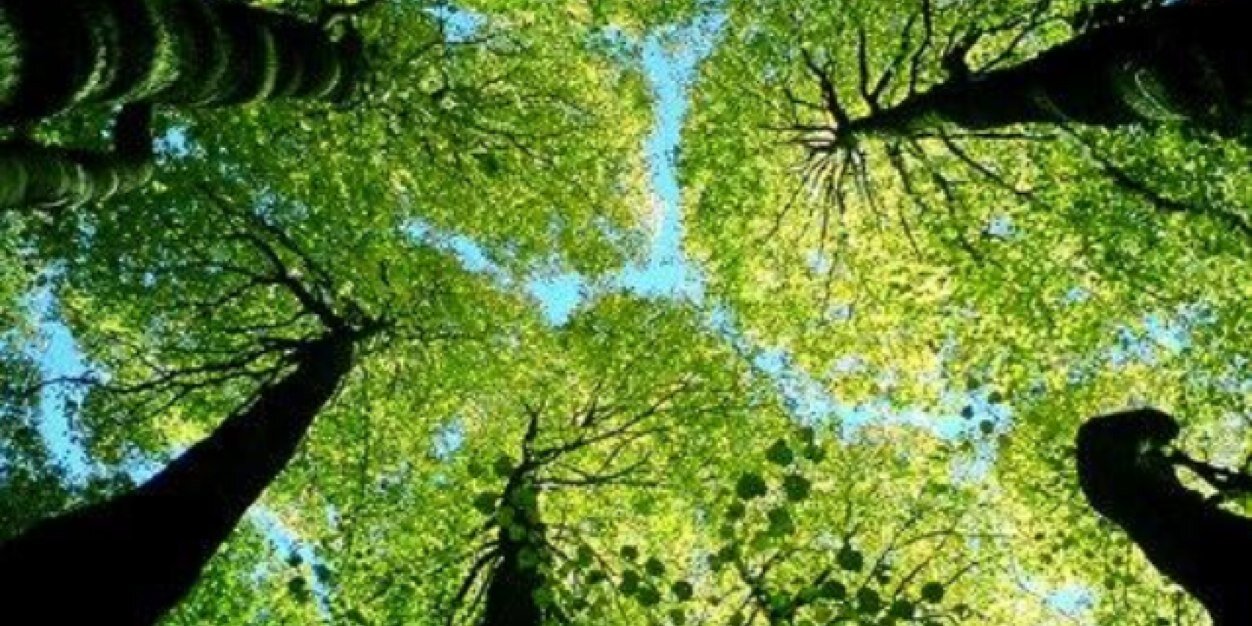 dann30694's profile banner image