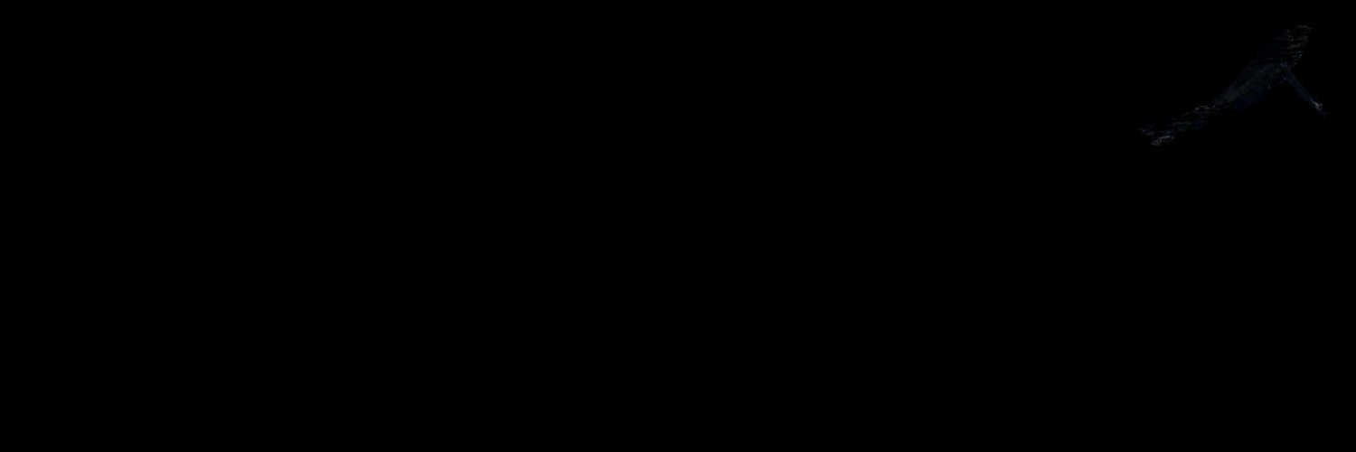 hydynn's profile banner image