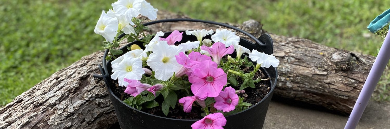 Gracieshuman😸 banner