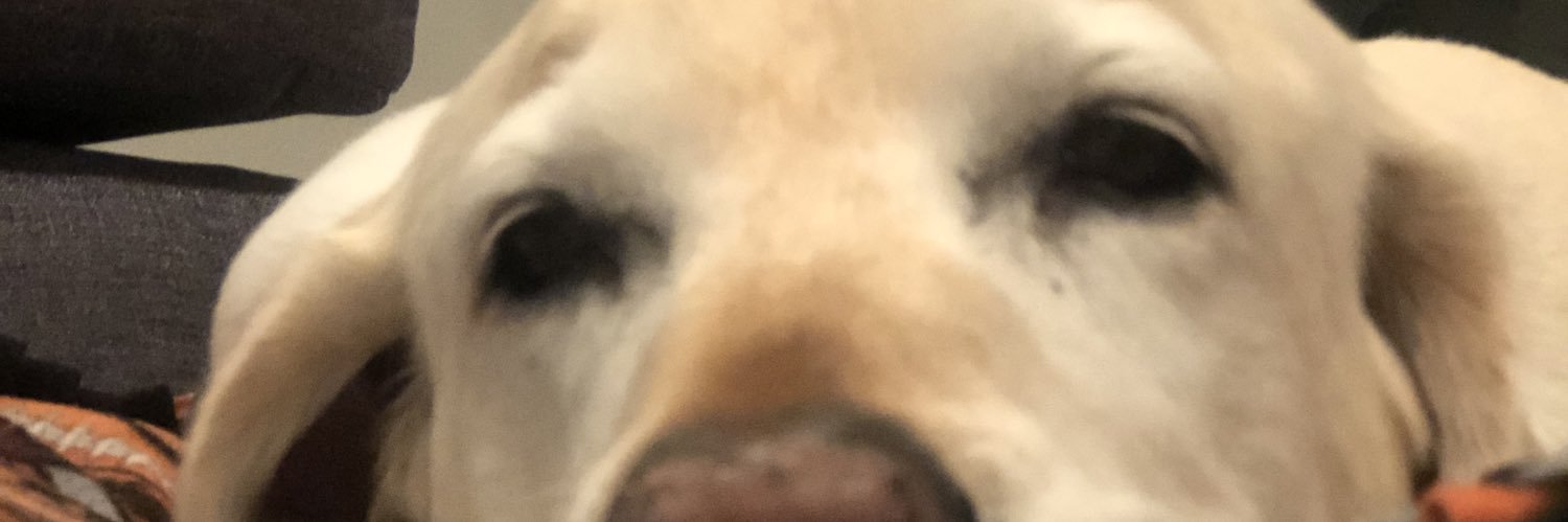 Sage Sullivan banner