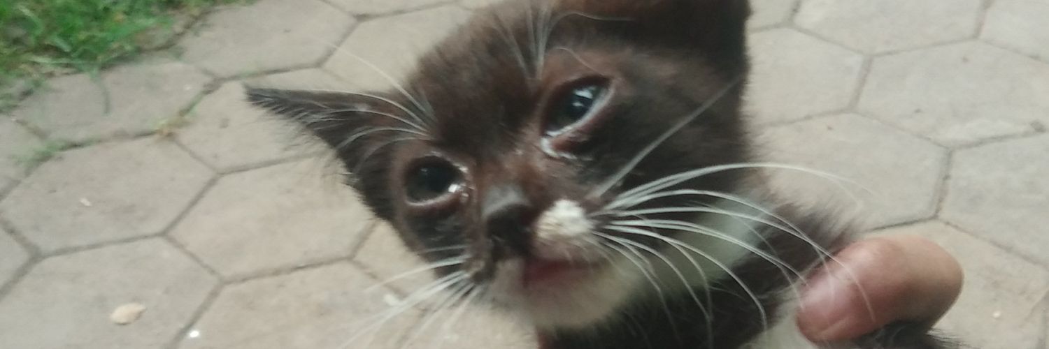 bullykky's profile banner image