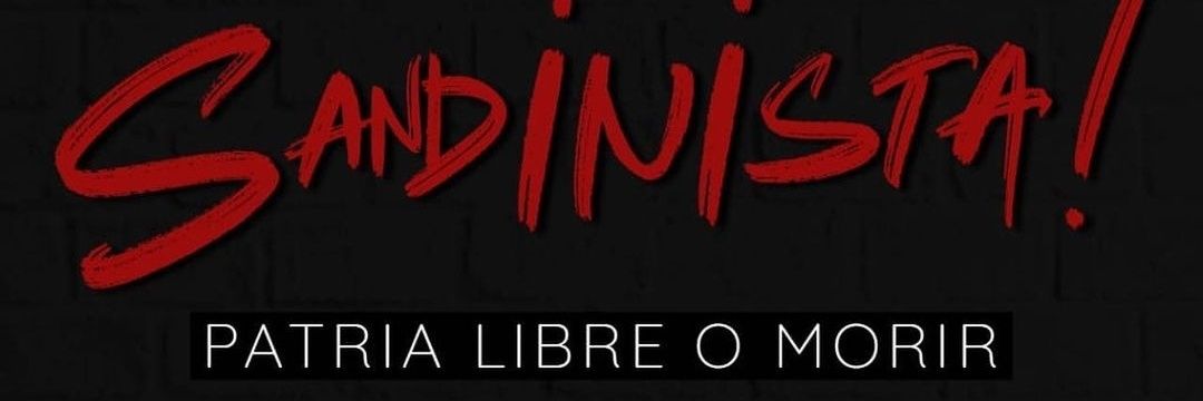 Patriotalealysincero banner