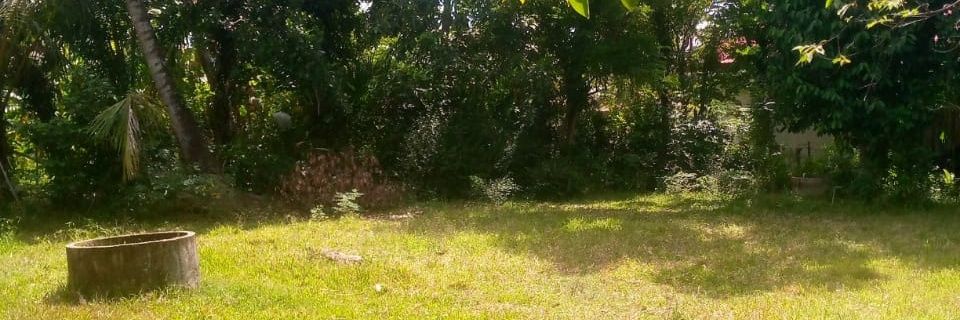 lemparol_'s profile banner image