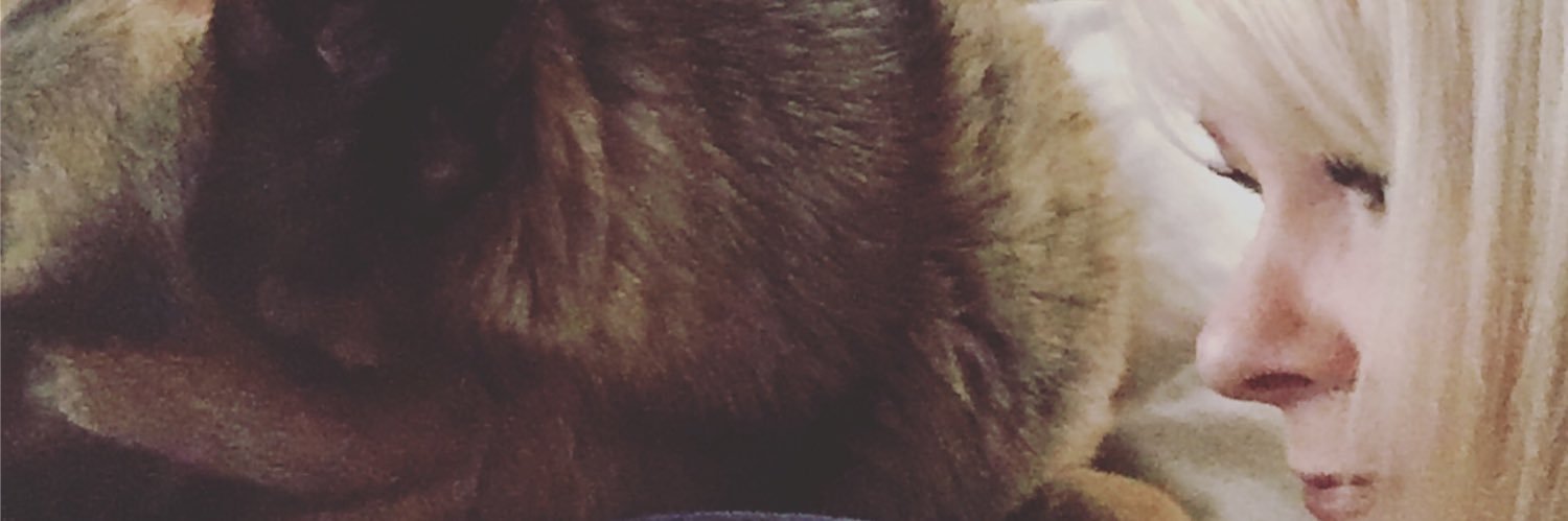 MaryhHarms's profile banner image