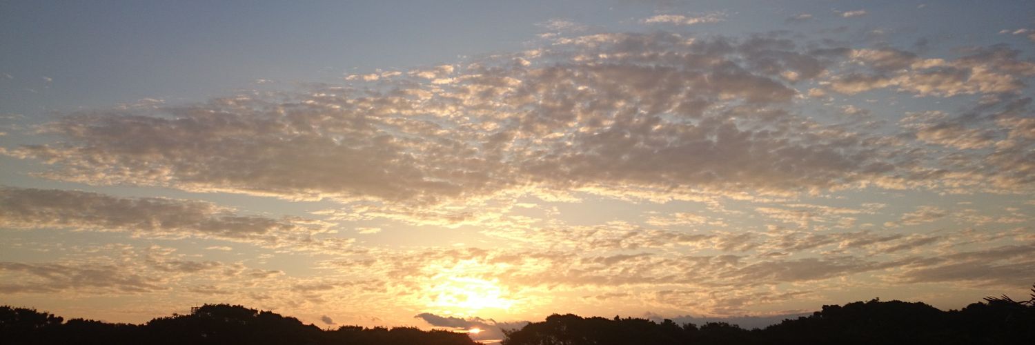 NO.6@ゲーム垢 banner